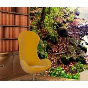  Wall Mural Decal Sticker Forest Wood River Stream 