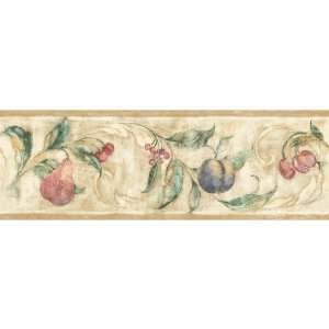  Decorate By Color BC1580567 Jewel Tone Fruit Scroll Border 