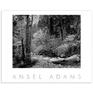  Ansel Adams   Tenaya Creek, Dogwood, Rain