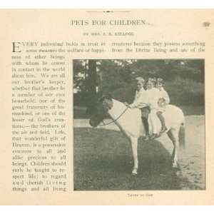    1905 Pets For Children Pony Horse Dog Bird 