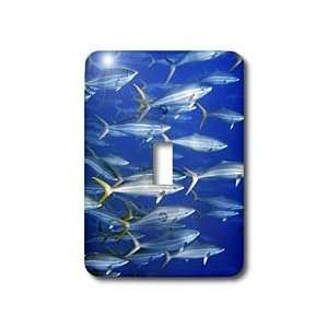   rocks,Brazil,Atlantic Ocean   Light Switch Covers   single toggle