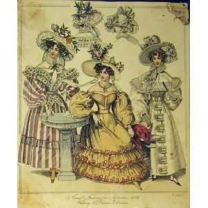  Womens Fashion 1829 Walking Dinner Dresses Hats Colour 