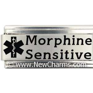  Morphine Sensitive Medical Alert Italian Charm Bracelet 
