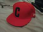 crooks and castles hat  