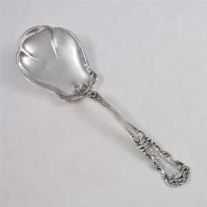  Pansy by Wilcox & Evertson, Sterling Berry Spoon Kitchen 