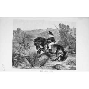   Magazine 1896 Young Boy Pony Horse Jumping Goat