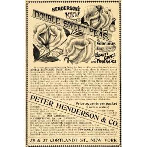  1895 Ad Peter Henderson Double Sweet Peas Flowers Price 