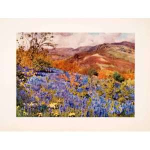  1908 Print Wild Hyacinths England Flowers Landscape 