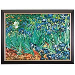  Irises by van Gogh Framed Print 