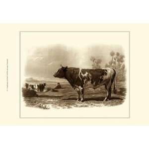  Bovine III by Emile Van marck 19x13