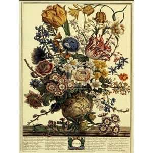  Twelve Months of Flowers, 1730/March by Robert Furber 