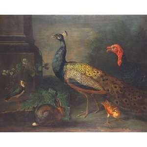 Turkey, Peacock, Peewit, by Joe Johannsen 34x28  Kitchen 