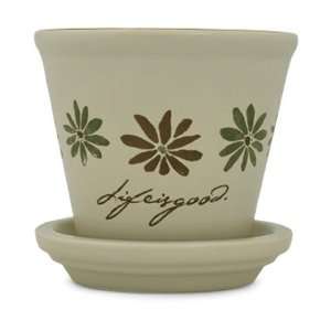  Ceramic Flower Pot
