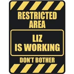   RESTRICTED AREA LIZ IS WORKING  PARKING SIGN