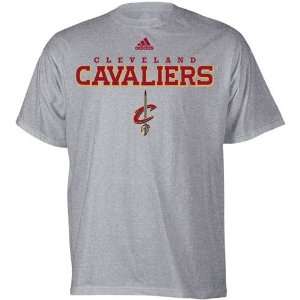  adidas Cleveland Cavaliers Ash True T shirt Sports 