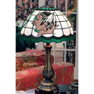   Stained Art Glass Window Panel Table Lamp   19.5hx12d shd, Green