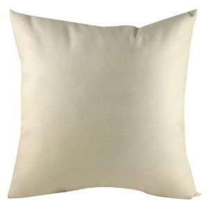   Mills Mexi, 16 Inch by 16 Inch Pillow, Set of 2