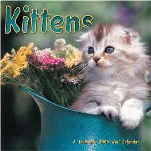  Kittens 2005 16 month Wall Calendar (9781553813293 