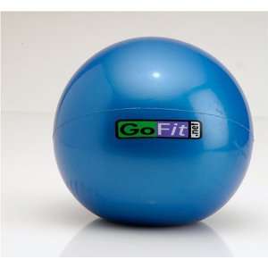  GoFit GF WEB10 10lb Soft Weighted Toning Ball (Ball and 