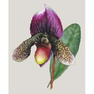   Orchid, Cross Stitch from Silver Lining Arts, Crafts & Sewing