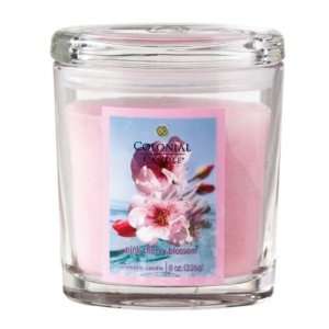   of 4 Oval Pink Cherry Blossom Aromatic Candles 8oz