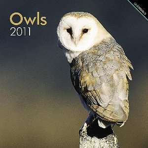  Owls 2011 Wall Calendar