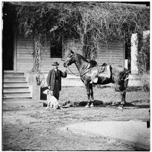    City Point,Virginia. Gen. Rufus Ingalls horse,dog