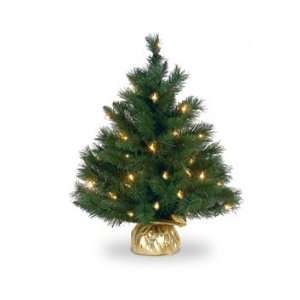  24 Majestic Fir Christmas Tree; 35 Clear Lights and Gold 