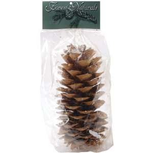  Natural Large Sugar Pine Cone Electronics