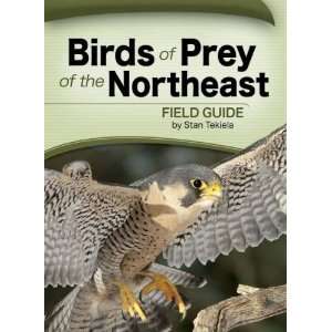  Birds of Prey of the Northeast Video Games