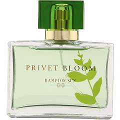 Hampton Sun Privet Bloom 1.7 ml Eau de Parfum    
