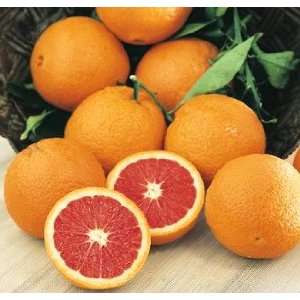 SUNKIST ORANGES CARA CARA FRESH PRODUCE VEGETABLES FRUIT 3 LB BAG