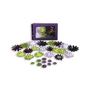 Daisy Box Blend  Small Lavender, Purple, Green, Black 