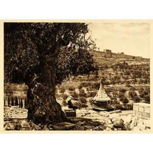  1925 Jerusalem City Wall Mount Olives Lehnert Landrock 