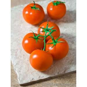 VINE RIPE TOMATOES FRESH PRODUCE FRUIT Grocery & Gourmet Food