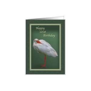  Birthday, 101st, White Ibis Bird Card Toys & Games