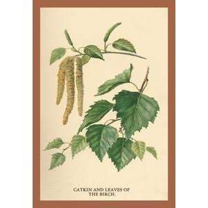    Vintage Art Catkin & Leaves of the Birch   17596 6