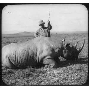  Theodore Roosevelt in Africa,dead rhino and rifle,c1909 