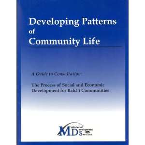  Patterns of Community Life A Guide to Consultation The Process 