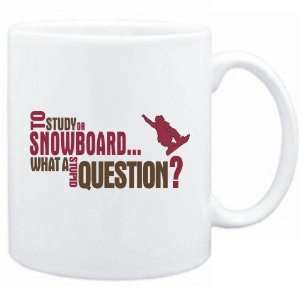  New  To Study Or Snowboard  What A Stupid Question 