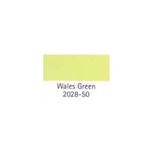  PAINT COLOR SAMPLE Wales Green 2028 50 SIZE2 OZ.