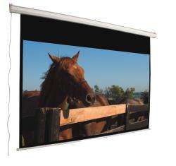 Mustang Electric 120 inch 169 Matte White Projection Screen Today $ 