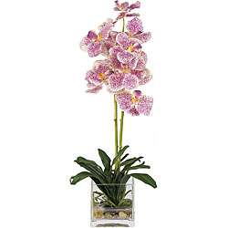Silk Vanda Orchid Arrangement with Glass Vase  
