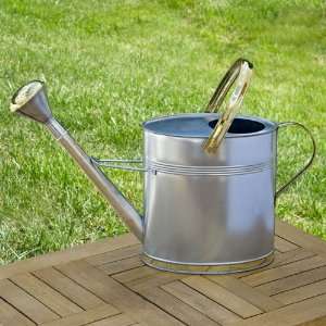  Oval Galvanized Steel Watering Can Patio, Lawn & Garden