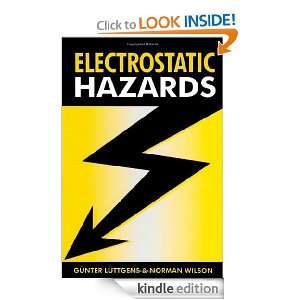 Electrostatic Hazards Günter Luttgens, Norman Wilson  
