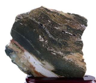 Natural Ocean Jasper Rough Mineral Specimen #2F14  