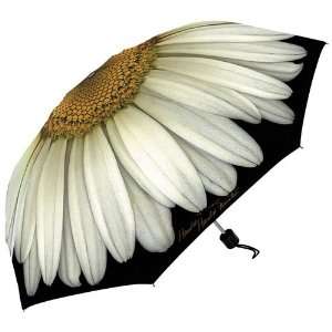  Pack Of 2  Best Quality Umbrella Daisy Collapsible Set of 
