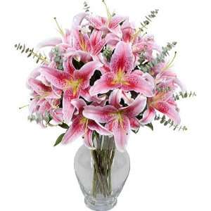 Deluxe Stargazer Lilies without Vase Grocery & Gourmet Food