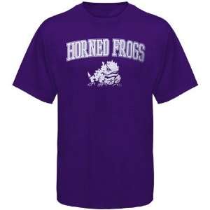  Texas Christian Horned Frogs (TCU) Purple Universal Mascot 