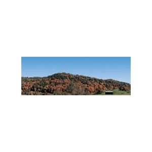    704 17 Realistic Backgrounds Mountains Fall Foliage B Toys & Games